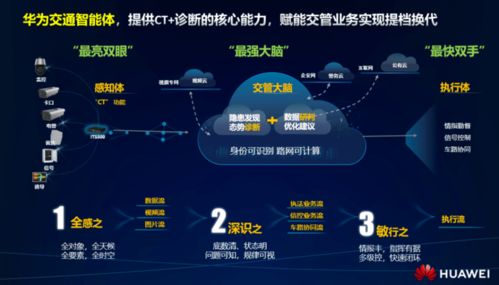 智慧交通領(lǐng)域 應(yīng)用軟件服務(wù)的終極戰(zhàn)役即將引爆